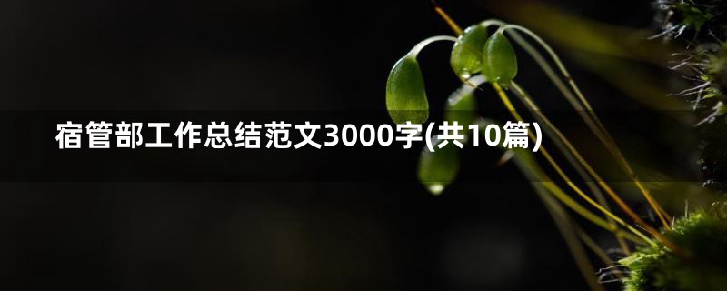 宿管部工作总结范文3000字(共10篇)