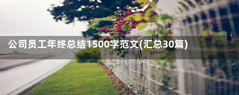 公司员工年终总结1500字范文(汇总30篇)