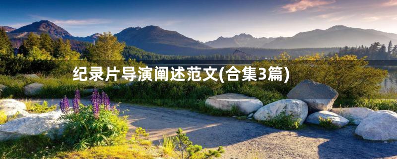 纪录片导演阐述范文(合集3篇)