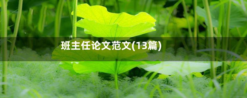 班主任论文范文(13篇)