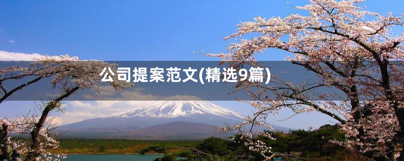 公司提案范文(精选9篇)