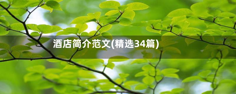 酒店简介范文(精选34篇)