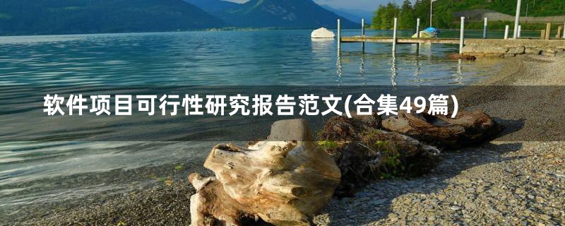 软件项目可行性研究报告范文(合集49篇)