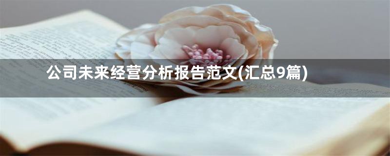 公司未来经营分析报告范文(汇总9篇)
