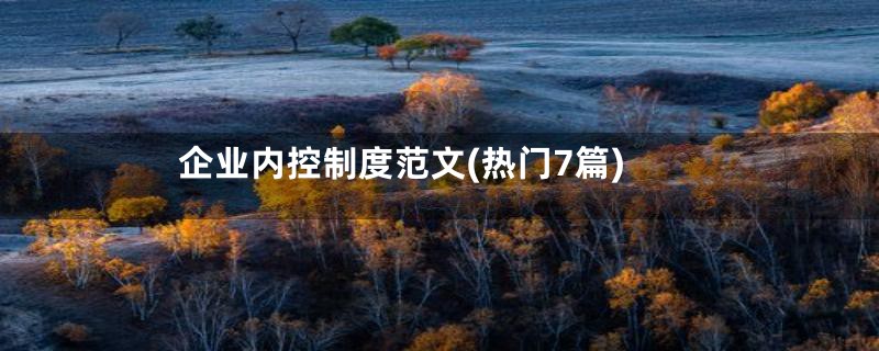 企业内控制度范文(热门7篇)
