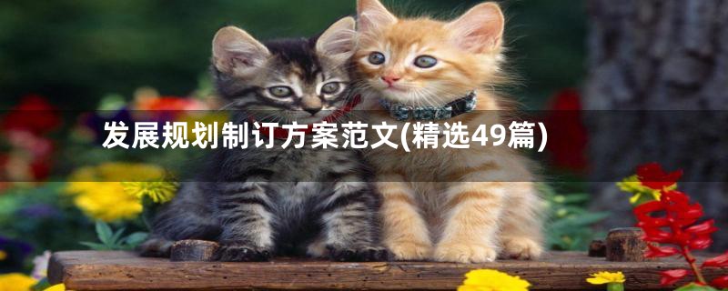 发展规划制订方案范文(精选49篇)