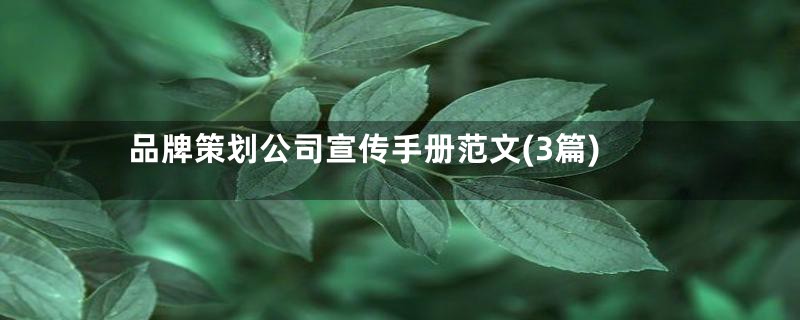 品牌策划公司宣传手册范文(3篇)