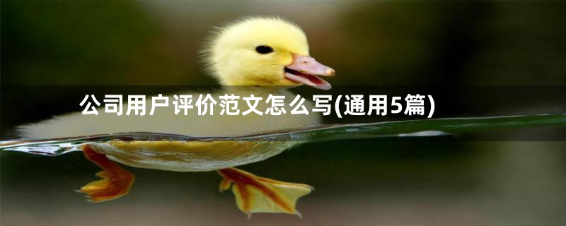 公司用户评价范文怎么写(通用5篇)