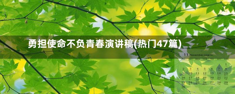 勇担使命不负青春演讲稿(热门47篇)