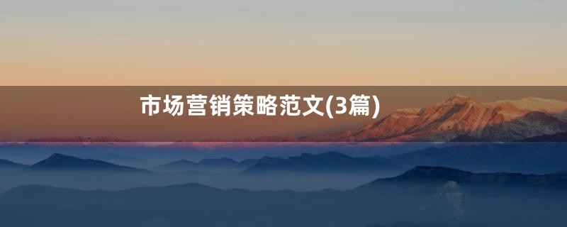 市场营销策略范文(3篇)