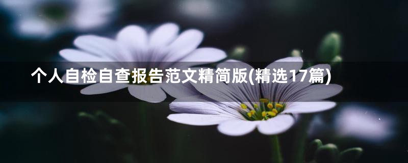 个人自检自查报告范文精简版(精选17篇)