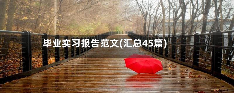 毕业实习报告范文(汇总45篇)