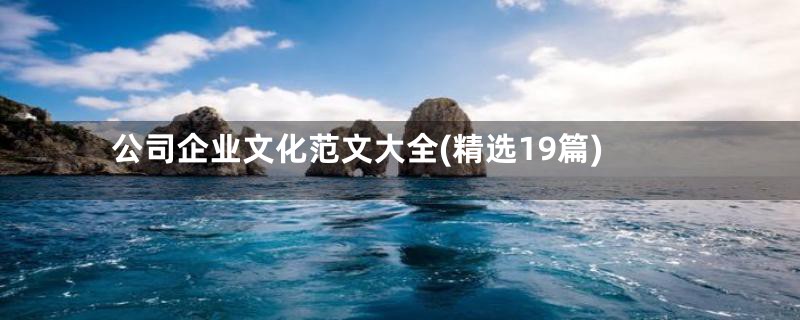公司企业文化范文大全(精选19篇)