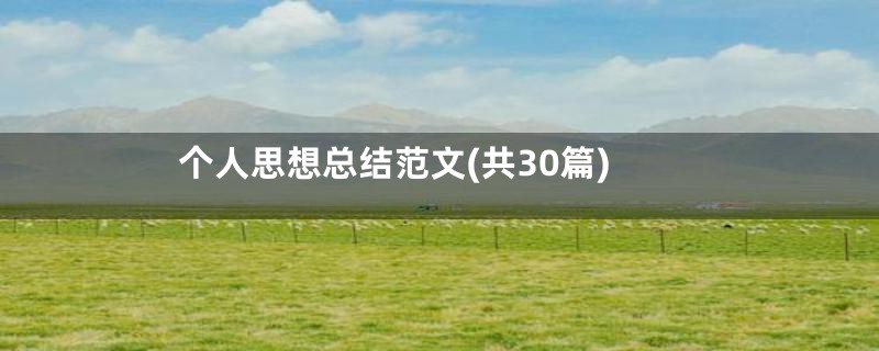 个人思想总结范文(共30篇)
