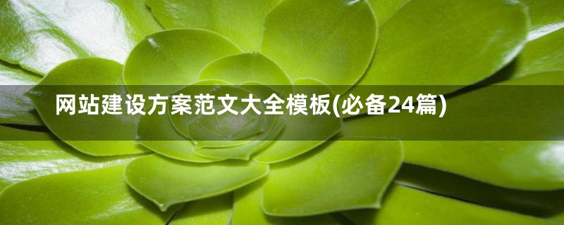网站建设方案范文大全模板(必备24篇)