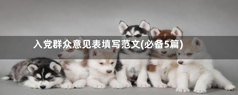 入党群众意见表填写范文(必备5篇)