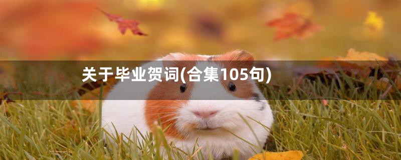 关于毕业贺词(合集105句)