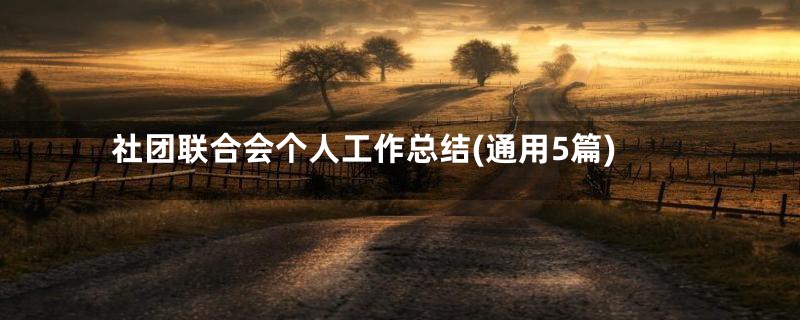 社团联合会个人工作总结(通用5篇)
