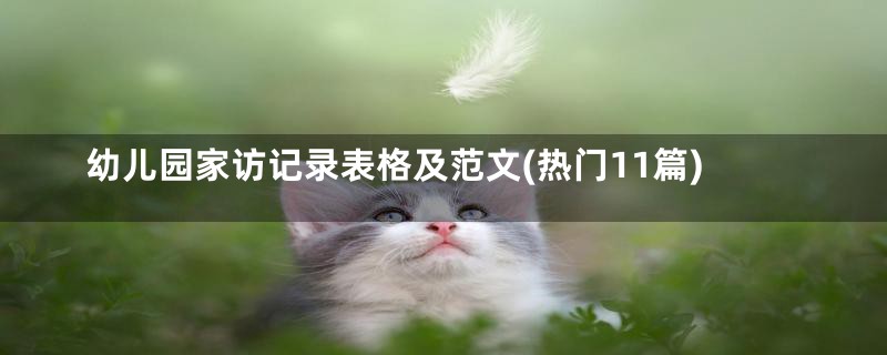 幼儿园家访记录表格及范文(热门11篇)