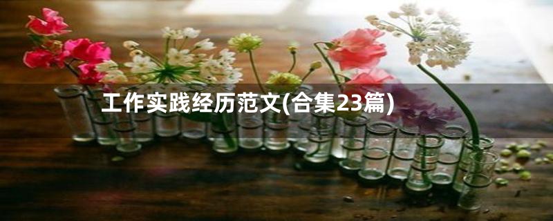 工作实践经历范文(合集23篇)