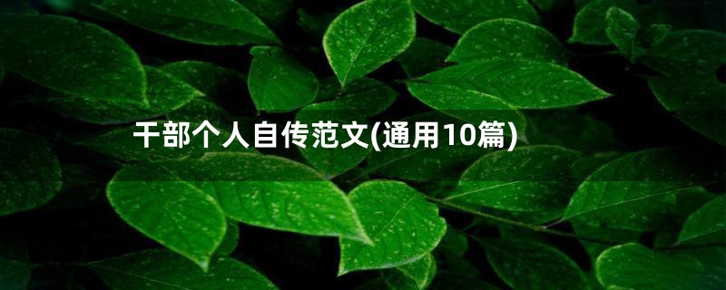 干部个人自传范文(通用10篇)