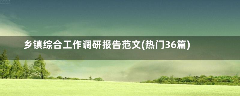 乡镇综合工作调研报告范文(热门36篇)