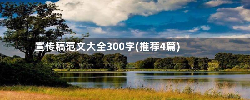 宣传稿范文大全300字(推荐4篇)