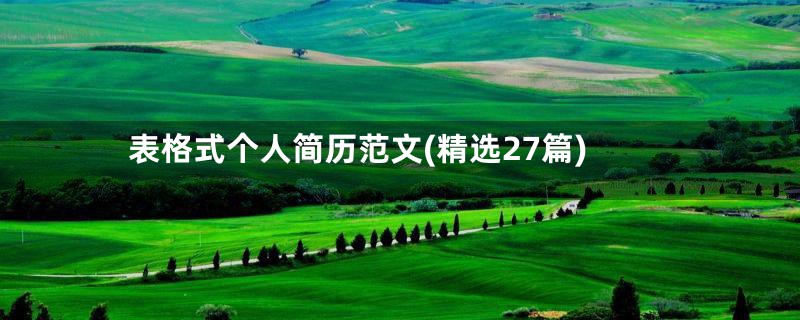表格式个人简历范文(精选27篇)