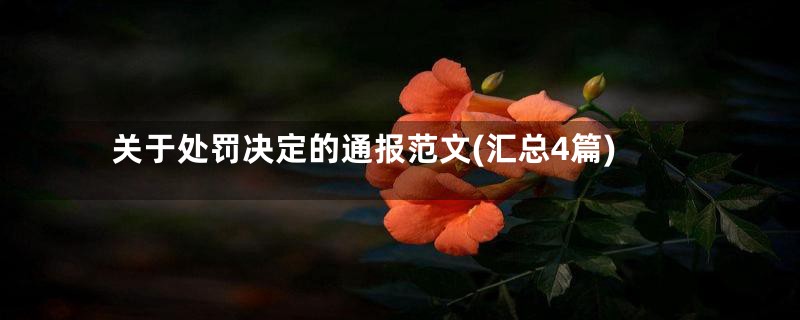 关于处罚决定的通报范文(汇总4篇)