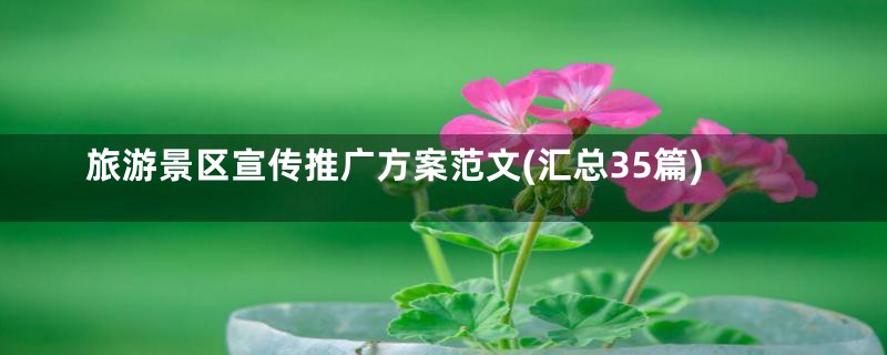 旅游景区宣传推广方案范文(汇总35篇)
