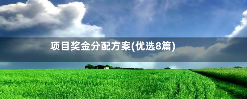项目奖金分配方案(优选8篇)