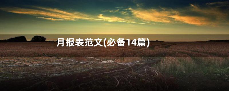 月报表范文(必备14篇)