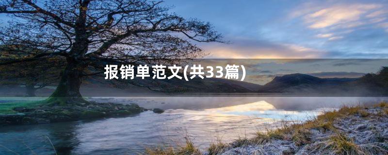 报销单范文(共33篇)