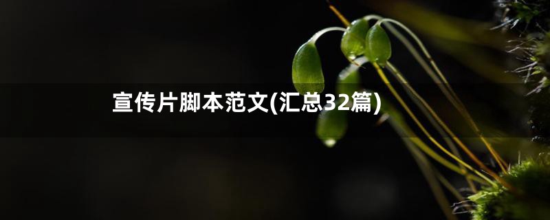 宣传片脚本范文(汇总32篇)
