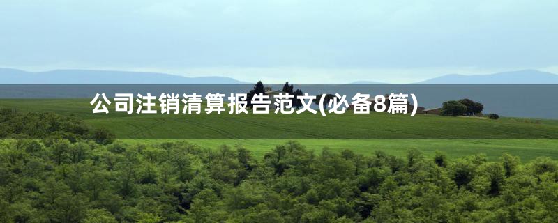 公司注销清算报告范文(必备8篇)