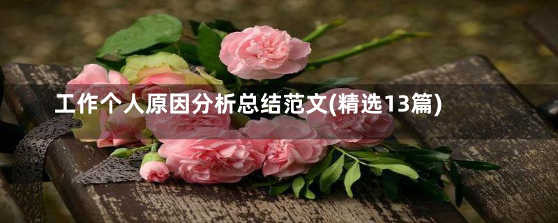 工作个人原因分析总结范文(精选13篇)