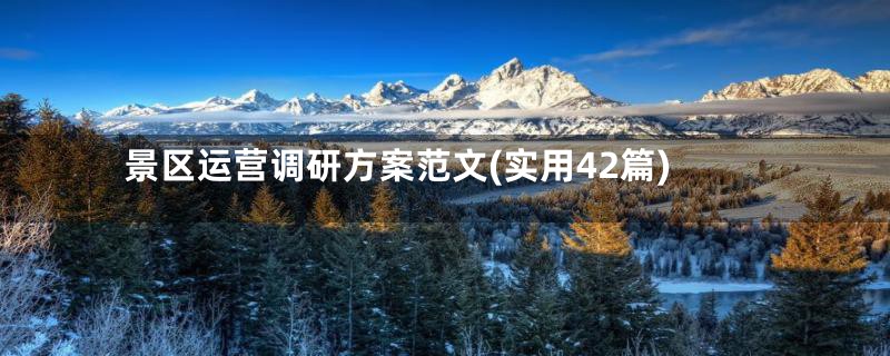景区运营调研方案范文(实用42篇)