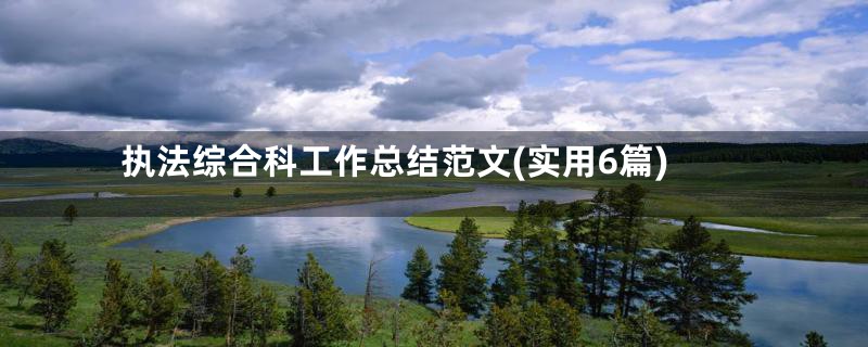 执法综合科工作总结范文(实用6篇)