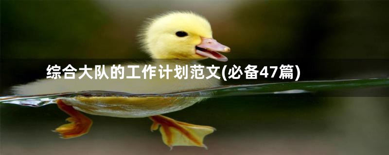 综合大队的工作计划范文(必备47篇)