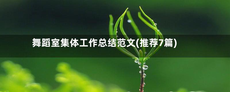 舞蹈室集体工作总结范文(推荐7篇)