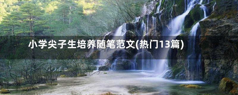小学尖子生培养随笔范文(热门13篇)
