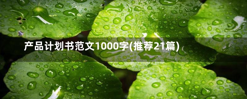 产品计划书范文1000字(推荐21篇)