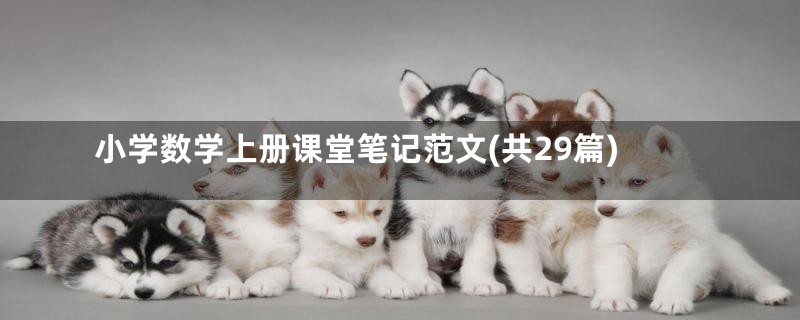 小学数学上册课堂笔记范文(共29篇)