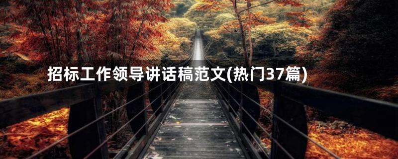 招标工作领导讲话稿范文(热门37篇)