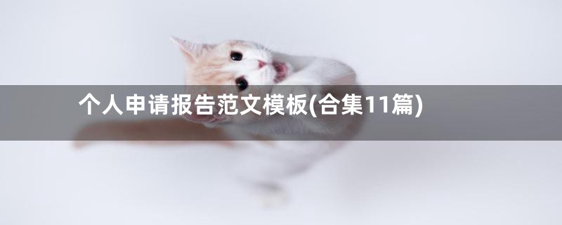 个人申请报告范文模板(合集11篇)