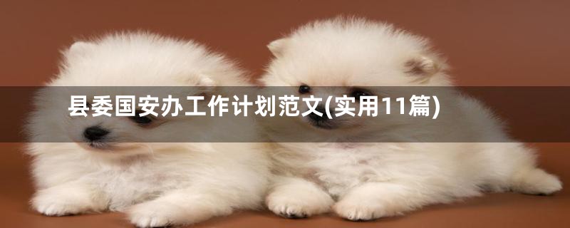 县委国安办工作计划范文(实用11篇)