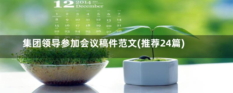集团领导参加会议稿件范文(推荐24篇)