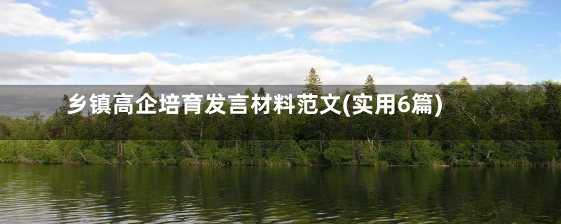 乡镇高企培育发言材料范文(实用6篇)