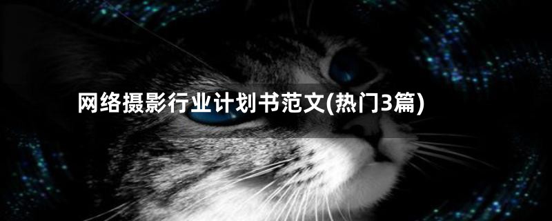 网络摄影行业计划书范文(热门3篇)