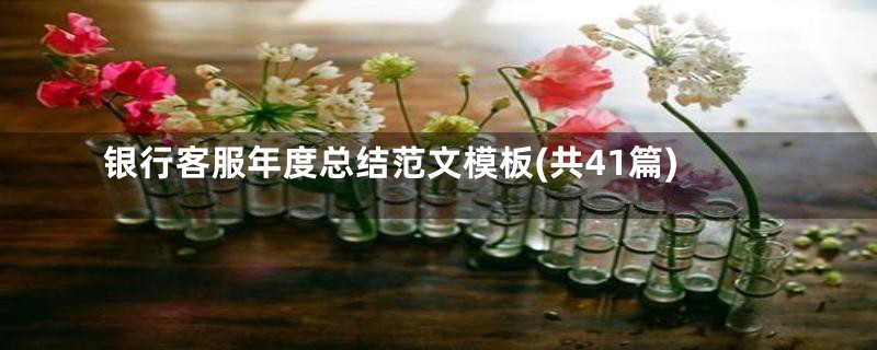 银行客服年度总结范文模板(共41篇)